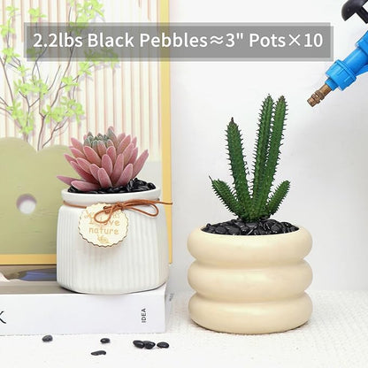 2.2LB Black Pebbles for Indoor Plants, Vases, Succulent, 3/8 Inch Small Black Rocks for Plants, Polished & Decorative