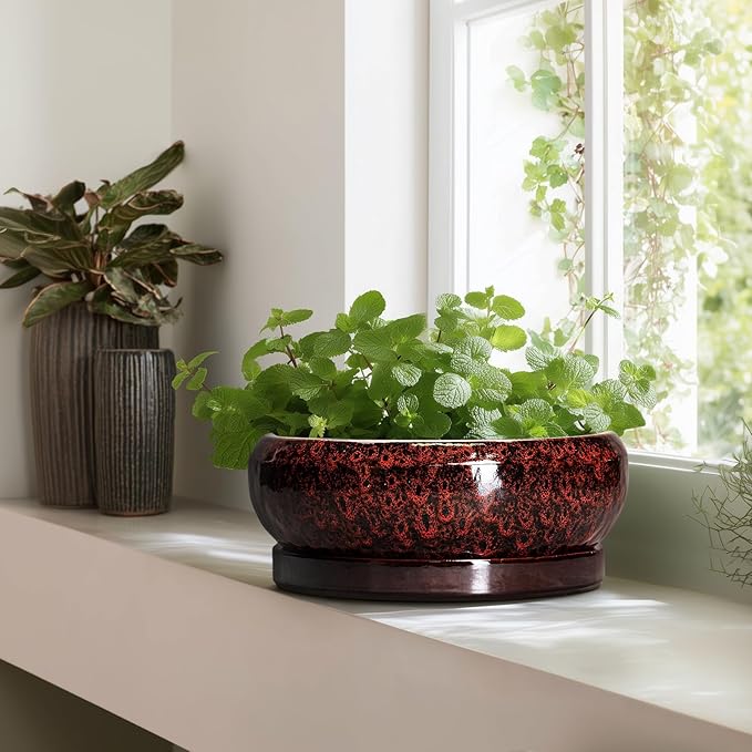 Bonsai Pots with Drainage Hole - 13 Inch Ceramic Succulent Pots, Large Succulent Planter with Saucer, Shallow Planter Indoor Outdoor, Round Planter Bowl, Apartment Decor, Garden Gifts, Red