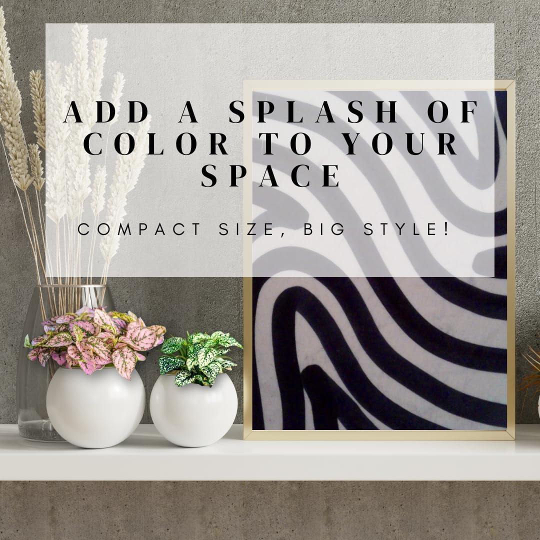 Polka Dot Plant (4-Pack) - Live Houseplants, Small Indoor Plants, Hypoestes Rose - Colorful, Air-Purifying House Plants