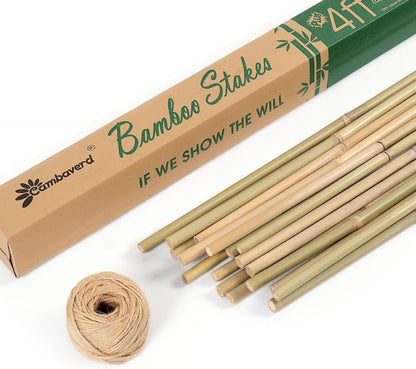 Bamboo Stakes 4 Feet Thicker Garden Stakes with Garden Twine, Diameter of 0.55in Natural Plant Stakes Bamboo Poles for Climbing Plants Support Tomato Cage - 20 Pack Bamboo Sticks for Plants