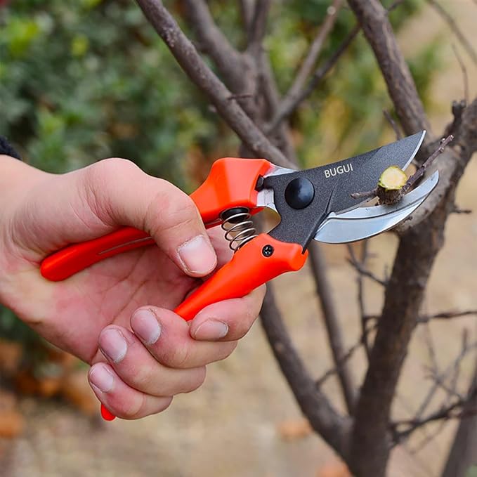 8" Lightweight Pruning Shears - Bypass Gardening Scissors, Sharp Garden Clippers with Low-friction Painted Stainless Steel Blade