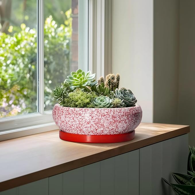 Bonsai Tree Pots 13 Inch - Ceramic Bonsai Pots with Drainage Hole and Tray, Large Succulent Planters Indoor, Round Bowl Planter Outdoor, Shallow Planter, Garden Decor, Plant Lover Gifts, Red