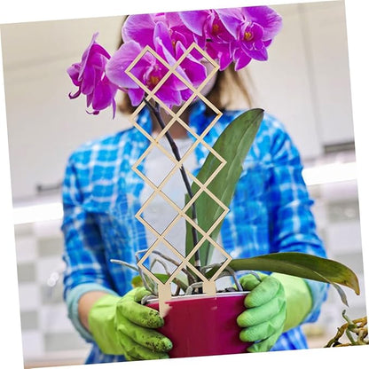 Wooden Plant Trellis for Indoor Climbing Plants with Honeycomb DIY Support Frame for Orchids Vines Tomatoes Reusable