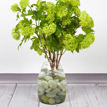 10 lbs River Rocks, 1-2 Inch Polished Pebbles for Indoor Plants, Decorative River Stones for Succulent, Landscaping, Vases, Backyard, Crafting and Garden