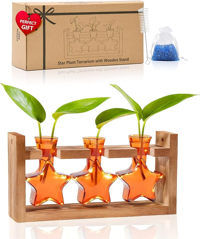 Nacome Star Glass Propagation Stations: Plant Terrarium with Wooden Stand Vase for Home Office Desk Decor, Unique Gifts for Plant Lovers Women Mom (Orange)