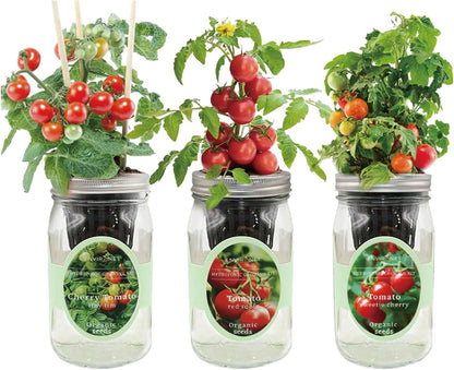 Hydroponic Mason Jar Indoor Garden Organic Seed Starter Kits - Tomato Trio Garden Growing Kits, Gardening Gift (Red Robin Tomato, Cherry Tomato - Tiny Tim, Sweetie Cherry Tomato)