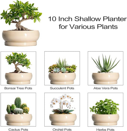 Bonsai Pots - 10 Inch Ceramic Succulent Planters Indoor Outdoor, Bonsai Planters with Drainage Hole and Saucer, Round Shallow Planter, Bowl Planter, House Decor, Gifts for Plant Lover, Beige