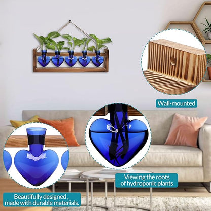 Plant Terrarium Hanging Propagation Stations Gift for Women Air Plants Holder with Wooden Stand Heart Glass