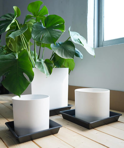 Square Plant Saucer 5 Pack 8 10 12 14 16 18 20 Inch, Flower Pot No Holes Plant Drip Trays, Plant Trays for Pots Heavy Duty Plastic Plant Saucers for Indoors Outdoors