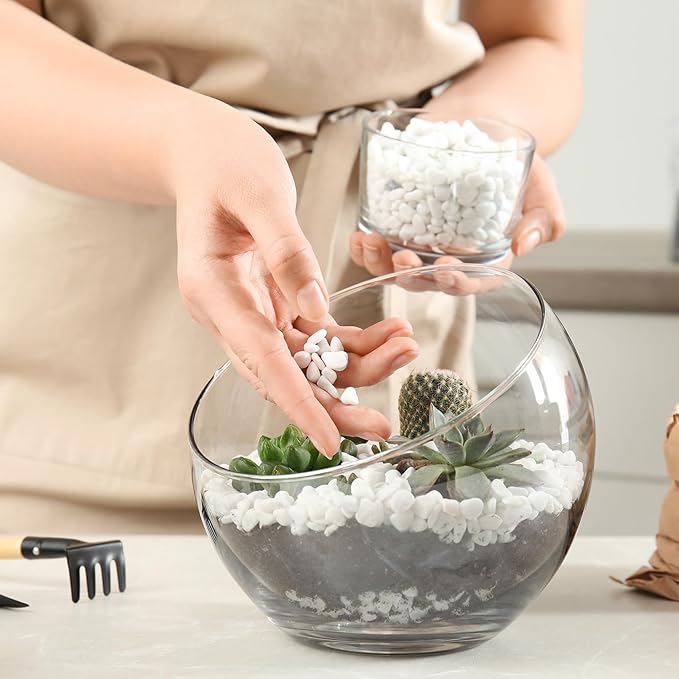 Mr. Fireglass 2lbs White Pebbles,1/5" Natural Decorative River Rocks Aquarium Gravel for Indoor Plants, Vases, Succulents and Outdoor Garden Landscaping