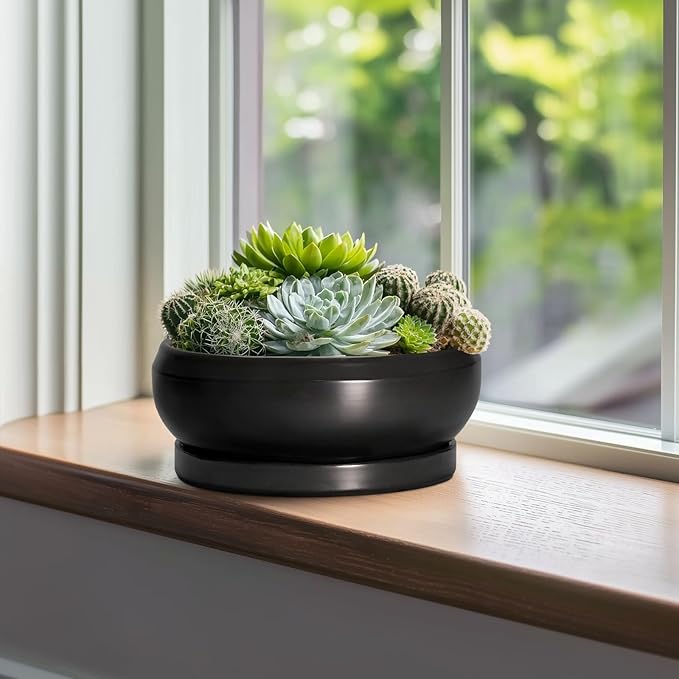 Bonsai Pots 10 Inch - Ceramic Succulent Planters Indoor Outdoor, Bonsai Pots with Drainage Hole and Tray, Modern Shallow Planter, Round Bowl Planter, Garden Decor, Garden Gift, Black