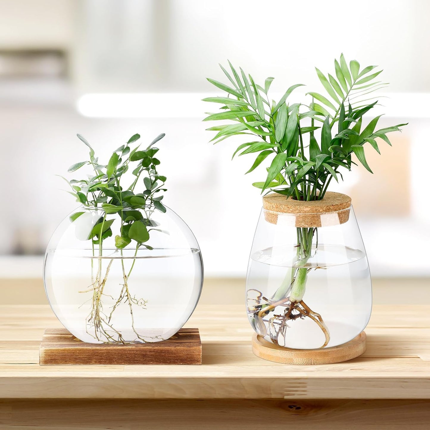 Layhit 4 Pcs Plants Propagation Stations vases Glass Planters with Wooden Lid and Bamboo Stand for Hydroponic Plants Gardening Gifts for Women Mom Home Office Tabletop Decoration(Cute Style)