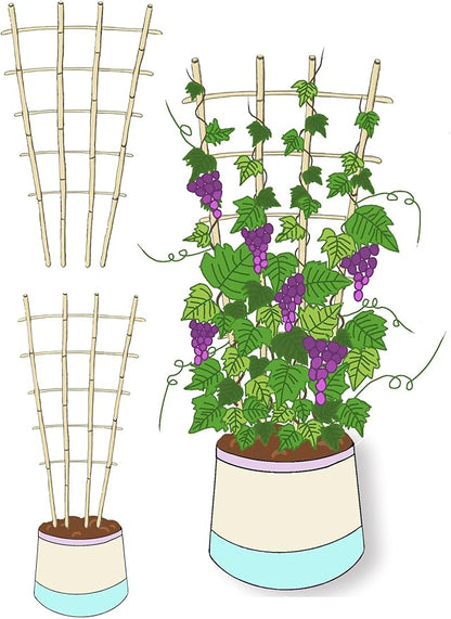 Natural Bamboo Trellis, 4Feet,6Pack,Fan-Shaped Plant Support Trellis for Outdoor and Indoor Potted Climbing Plants,Vegetables, Cucumber, Tomato, Hoya, Wisteria,Ivy,Orchid, Jasmine Monstera, Vine,