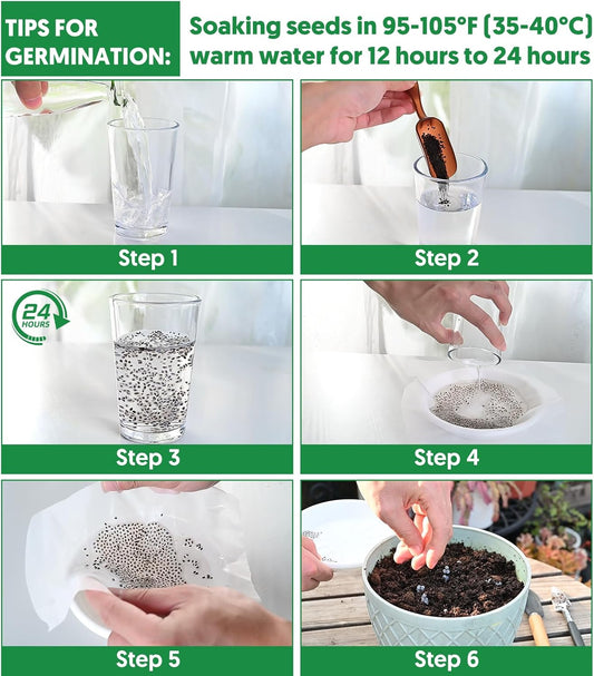 20,000+ Lettuce Seeds, Heirloom Vegetable Seed for Planting Indoor Outdoor, 10 Varieties Fresh Lettuce Salad Seeds Garden Hydroponics Kit - Romaine, Iceberg, Boston, Bibb and More, Non-GMO