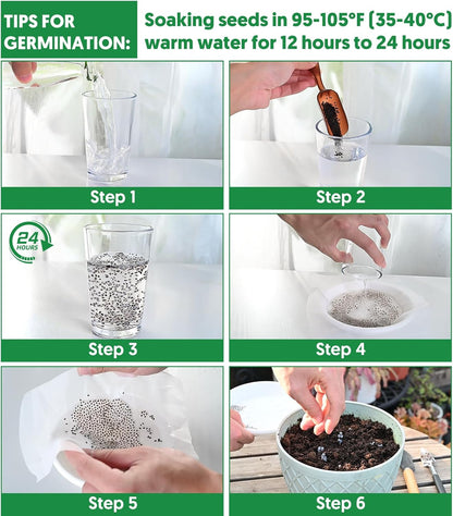 18 Varieties Herb & Vegetable Seeds for Hydroponic, 13000+ Seeds for Indoor Outdoor Garden Planting Home Veggie Herb, Heirloom Non-GMO Culinary Collection Gift Pack