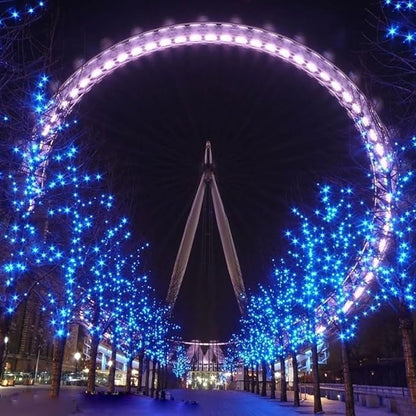 Fairy Lights Outdoor String Lights 33ft 100 LED with Memory Modes Controller, Extendable Christmas Lights Decorations for Wedding, Christmas, Valentine, Party, Patio, Indoor Outdoor (Black Wire -Blue)