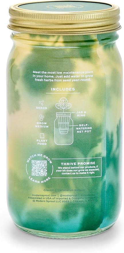 Modern Sprout Mason Garden Jar + Replant Kit - Self-Watering Hydroponics Growing System Kit w/Organic Herb Seeds - Jar Planter for Indoor Herb Garden - Seed Starter - Home Decor Gifting - Cilantro