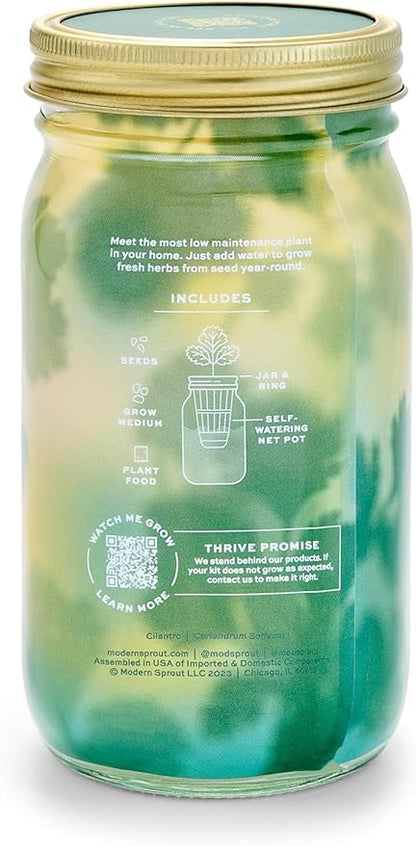 Modern Sprout Mason Garden Jar + Replant Kit - Self-Watering Hydroponics Growing System Kit w/Organic Herb Seeds - Jar Planter for Indoor Herb Garden - Seed Starter - Home Decor Gifting - Cilantro
