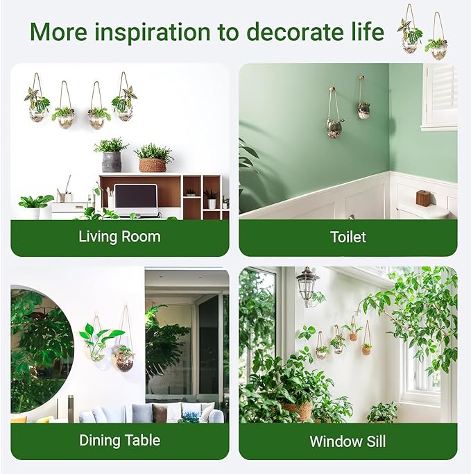 Propagation Station, Plants Terrarium, Plants Lover Gifts for Women,Plant Cutting Holder Home décor,Gifts for Women,House Warming New Home-2 Bowl Shape