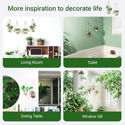 Propagation Station, Plants Terrarium, Plants Lover Gifts for Women,Plant Cutting Holder Home décor,Gifts for Women,House Warming New Home-2 Bowl Shape