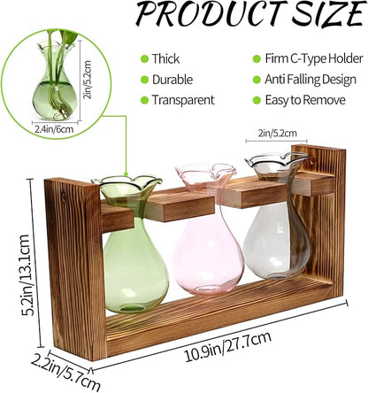 Plant Propagation Station Plant Terrarium Unique Birthday Gifts for Women Home Office Decor Planter with Wooden Stand - 3 Bulb Glass Vase