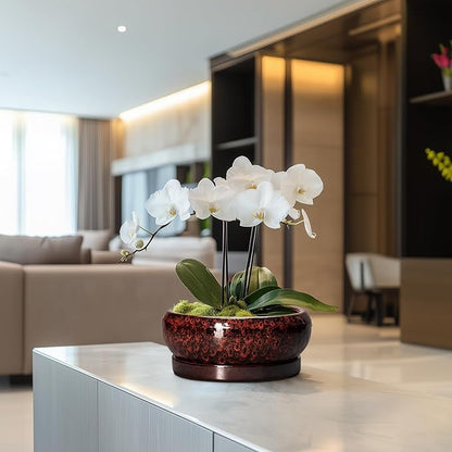 Bonsai Pots - 8 Inch Ceramic Succulent Planters for Indoor Outdoor, Round Shallow Planters with Drainage Hole and Saucer, Succulent Planter Bowl, Home Decor, Housewarming Gifts, Red