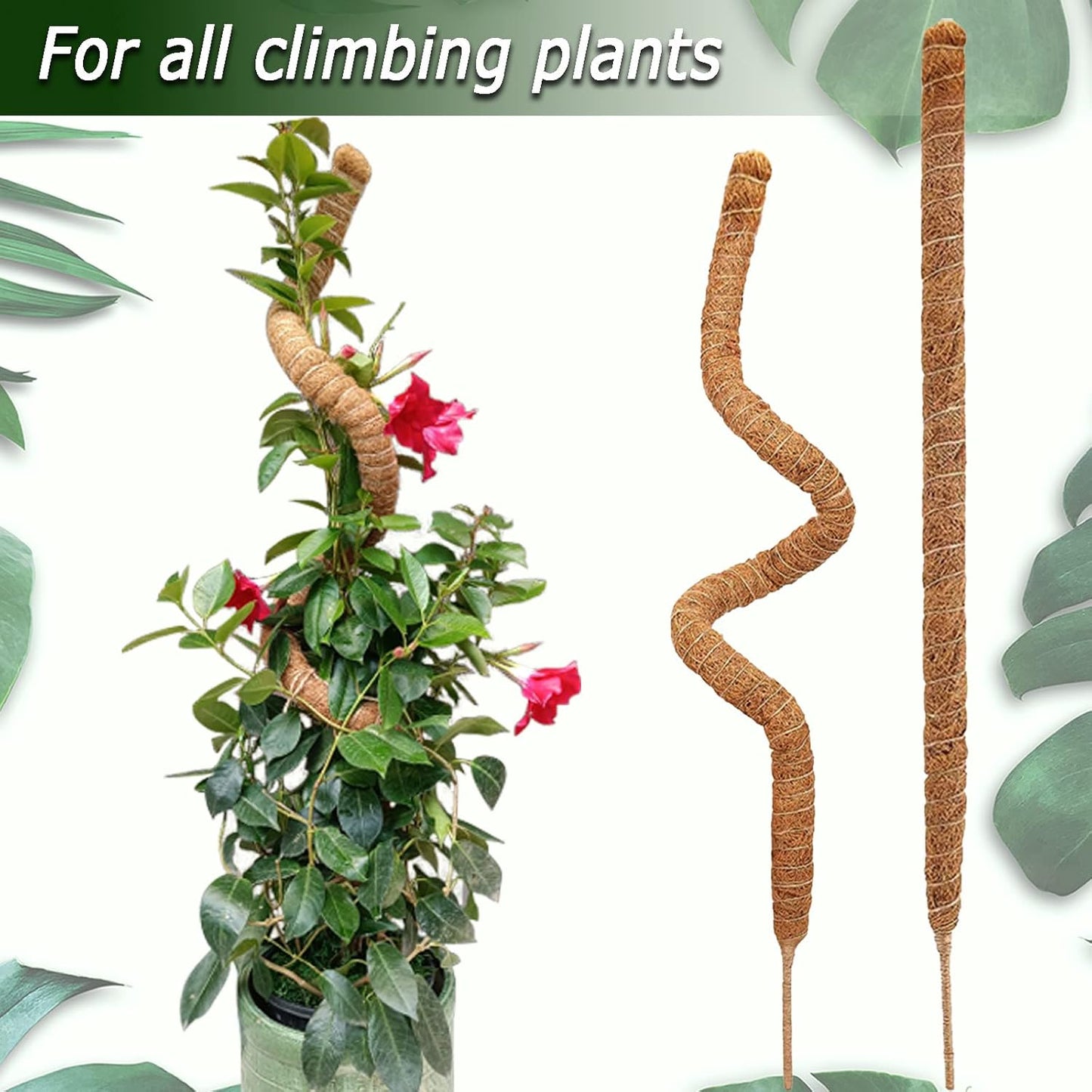 2 Pack Moss Pole, 28 Inch Bendable Moss Pole for Plants Monstera, Moss Poles for Climbing Plants Indoor, Coir Plant Pole Sticks Support Stakes for Potted Plant, Pothos, Philodendron