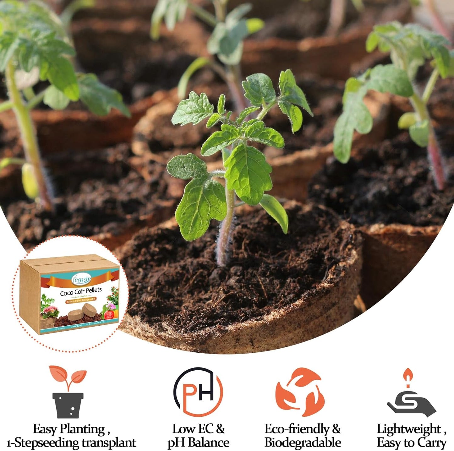 Legigo 100 Pcs 40mm Organic Coco Coir Pellets for Plants- Compressed Coconut Coir Potting Soil, Coco Fiber Pellets Coco Coir Soil for Planting, Garden, Bonsai, Herbs, Flower & Vegetables