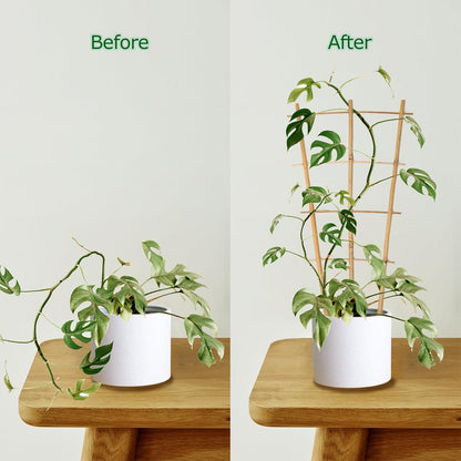 Plant Trellis Indoor 6 Pack Bamboo Trellis with Twist Ties, 16in Fan-Shaped Plant Trellises for Potted Plants Hoya Vines Monstera Houseplants