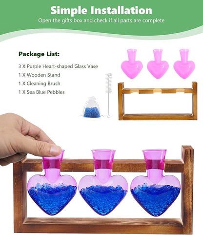 Nacome Plant Terrarium Propagation Stations: Birthday Gifts for Plant Lovers Women Mom Wife - Wooden Stand Tabletop Planter 3 Bulb Glass Vase Heart Shaped for Hydroponics Indoor Home(Purple)