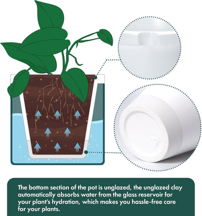 D'vine Dev 8 Inch Design Self Watering Planter for Indoor Plants, White Terracotta Pot with Teal Cylinder Glass Cup, 37-X-C-5