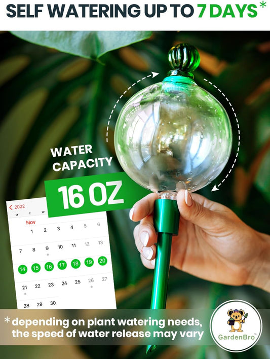 16 Oz Plant Watering Globes for Indoor Plants with Metal Self Watering Planter Insert - Premium XL Glass Hand-Blown Globes - Automatic Plant Waterer Indoor, Gift Idea for Gardeners [3 Globes]