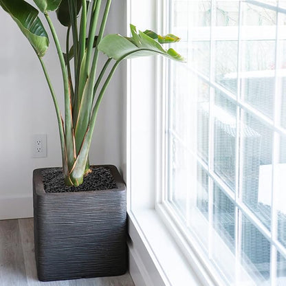 Mr. Fireglass 10 lbs Black Pebbles, 3/8" Natural Decorative Polished River Rocks Aquarium Gravel for Indoor Plants, Vases, Succulents and Outdoor Garden Landscaping