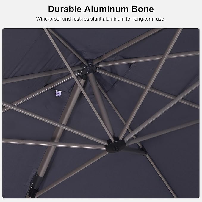 PURPLE LEAF 10' X 10' Patio Umbrella Outdoor Cantilever Umbrella, Aluminum Offset Umbrella with Champagne Frame and 360° Rotation for Pool Deck Garden, Light Grey