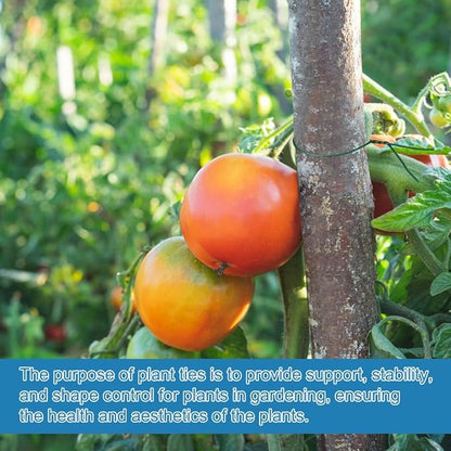 328 Feet Plant Twist Tie Plastic Coated Soft Garden Metal Wire 1mm Thin for Gardening, Home, Office (Green)