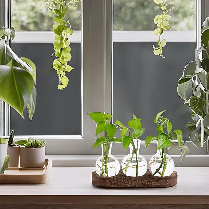 Mkono Desktop Plant Propagation Station Glass Planter Terrarium with Wooden Tray Bulb Flower Vase Perfect for Propagating Hydroponic Plants Home Office Decor Plant Lover Gift Idea