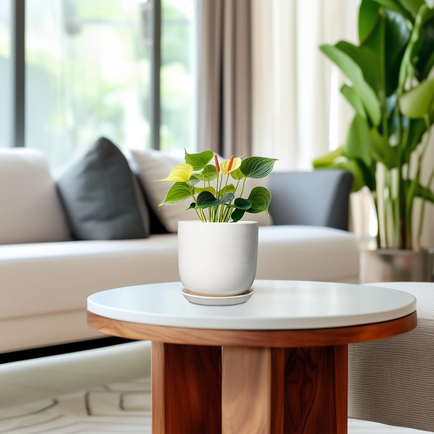 Indoor Plant Pot 5 Inch - Round Ceramic Planter for Succulent Plants with Drainage Hole and Saucer, Modern Home Decor, White