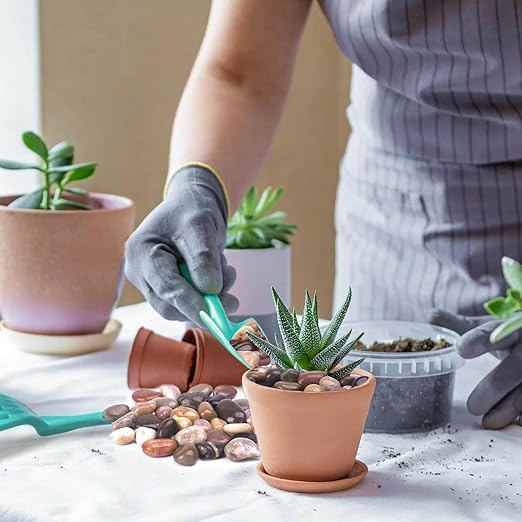 2.5 Pound Decorative Stones, 1-1 1/2", River Rocks for Plants Indoor Drainage, Small Polished Natural Pebbles for Crafts, Vases, Garden and DIY Decor