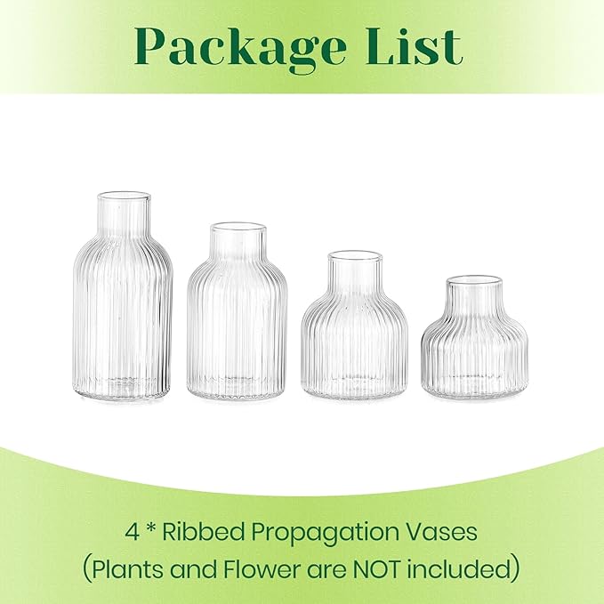 Hewory Glass Propagation vases for Plants: 4 PCS Ribbed Propagated Plant Holders for Hydroponic Cutting Flowers - Clear Propagation Stations Terrarium Jars for Home Office Decor Plant Lover Gifts
