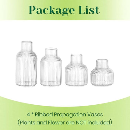 Hewory Glass Propagation vases for Plants: 4 PCS Ribbed Propagated Plant Holders for Hydroponic Cutting Flowers - Clear Propagation Stations Terrarium Jars for Home Office Decor Plant Lover Gifts