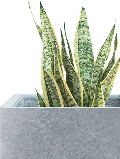 Kante 18.5" H Tall Rectangular Concrete Planters, Outdoor Indoor Lightweight Plant Pots with Drainage Hole and Rubber Plug, Modern Style for Home Garden Patio, Slate Gray