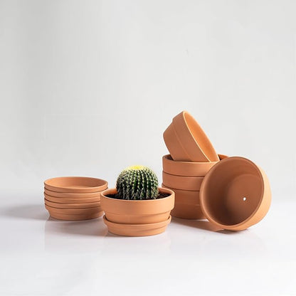 Shallow Terracotta Pots 5 inch, Pack of 6 Clay Pots for Plants with Drainage Holes and Saucers, Mini Nursery Plant Pots for Seed, Succulents, Cactus, Indoor,Outdoor