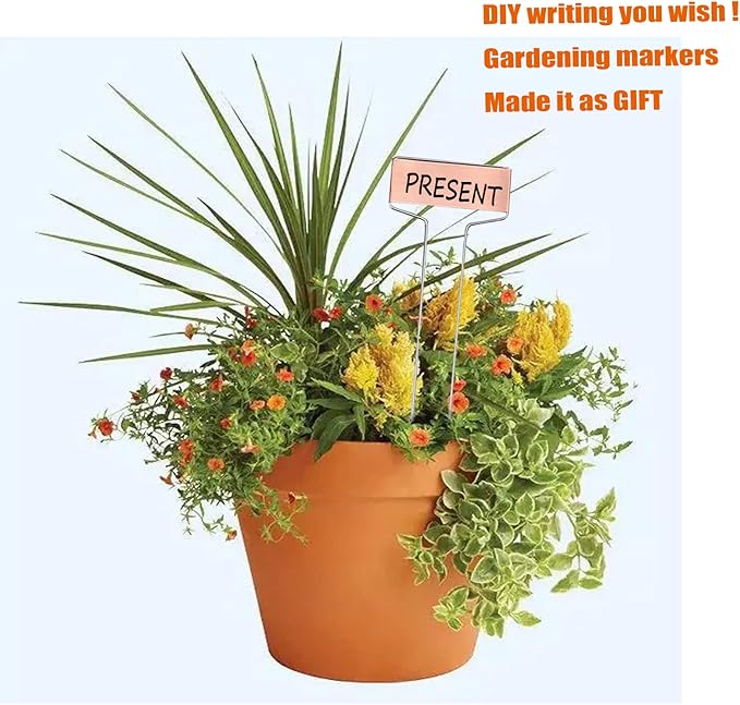 30pcs Plant Labels Copper Plant Markers for Outdoor Plants 6inch Plant Labels for Seedlings Outdoor Garden Waterproof Plant Tags and Labels for Flower Vegetable Herbs Greenhouse (6 in, Copper)