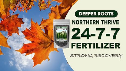 Fertilizer Commercial Grade | Northern Thrive 24-7-7 | 3 Pounds | Granular Controlled Release Feed | High Nitrogen Formula for Woody Ornamentals | Shrubs Trees Foliage Growth Beds Borders Landscapes