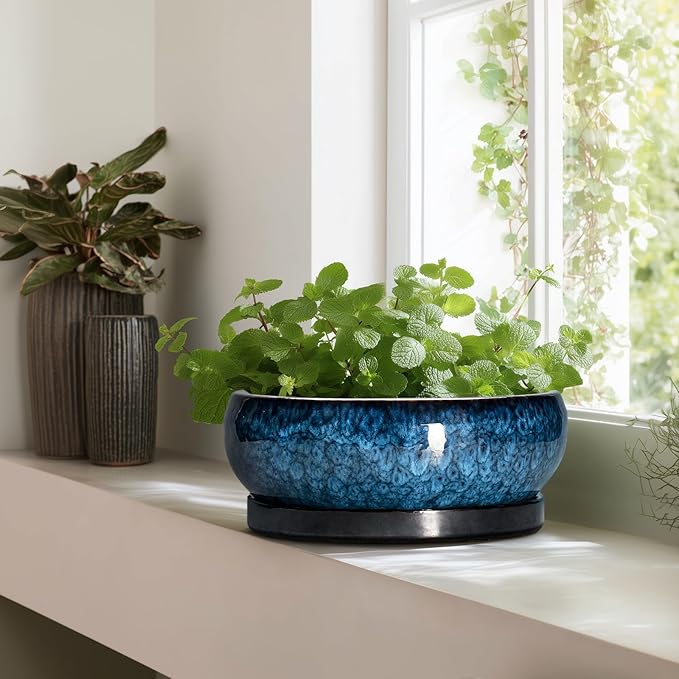 Bonsai Pots - 13 Inch Ceramic Succulent Pots for Indoor Outdoor, Large Succulent Planter with Drainage Hole and Saucer, Round Shallow Flower Planters, Porch Decor, Gardening Gifts, Blue