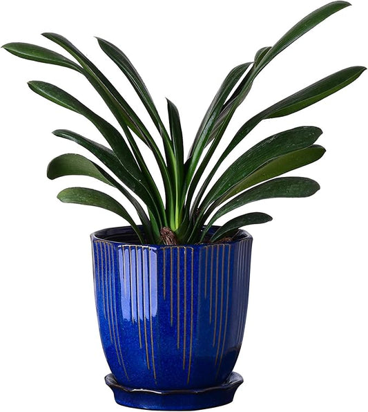 ADN Ceramic Flower Pots Indoor with Saucer - 6 Inch Plant Pot, Hand Glazed Ceramic Planter for All House Plants with Drainage Hole and Tray, Navy