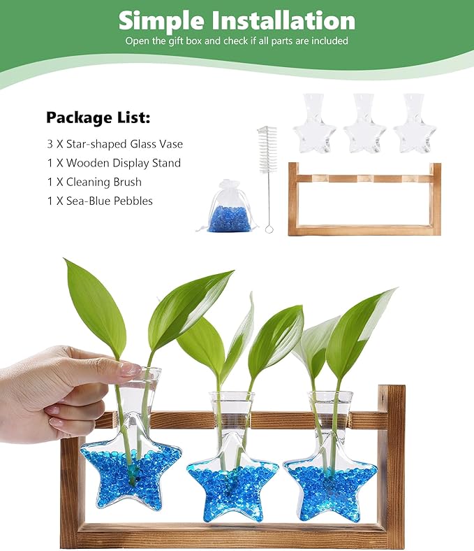 Nacome Star Glass Propagation Stations: Plant Terrarium with Wooden Stand Vase for Home Office Desk Decor, Unique Gifts for Plant Lovers Women Mom