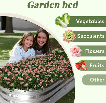 Raised Garden Bed, Raised Beds for Gardening Outdoor for Vegetables and Flowers Ground Planter Box, Galvanized Metal Planter Grow Garden Box,4x2x1ft