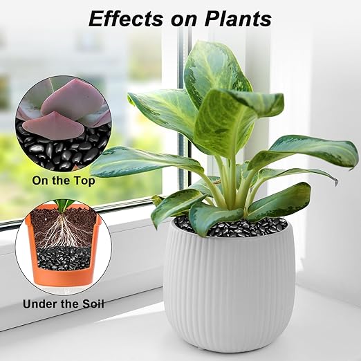 Landscaping Pebbles River Rocks Decorative Ornamental Pebbles Garden Landscaping Stones Gravel Filler for Home Decoration Flower Bed Fish Tank Plants Vases Succulents (1, Black, 1 Pound)