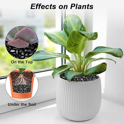 Landscaping Pebbles River Rocks Decorative Ornamental Pebbles Garden Landscaping Stones Gravel Filler for Home Decoration Flower Bed Fish Tank Plants Vases Succulents (1, Black, 1 Pound)